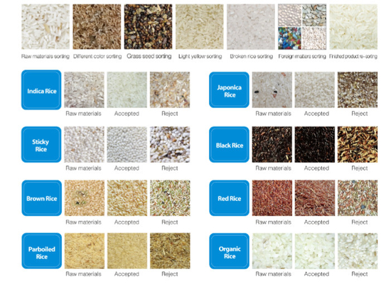 เครื่องคัดสีข้าว Dreamplus ความแม่นยําสูง 99.99% เครื่องคัดสี